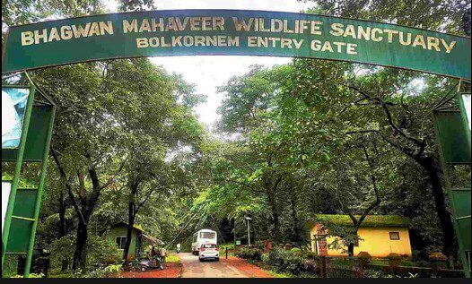 Bhagwan Mahavir Wildlife, Goa Tourist Places, Goa Beaches